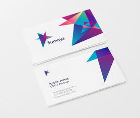 Sumaya互聯(lián)網IT企業(yè)標志設計 品牌VI形象設計與企業(yè)形象策劃的完美融合